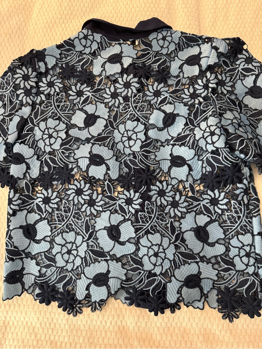 Milly Black Lace Overlay Top with Light Blue Underlay